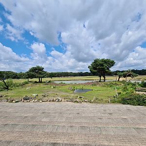 Bird-of-prey show yard
