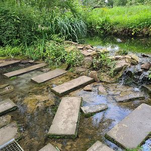 Small waterfall and stepping stones