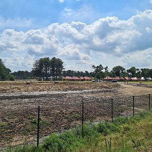 Third Big Savannah paddock