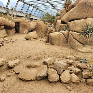 View into the Desert