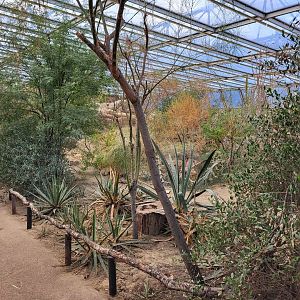 View into the Desert