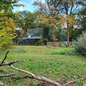 Behind the scenes-aviary