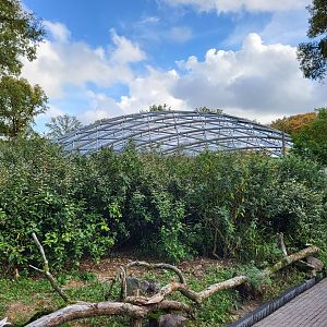 Mangrove Hall from the outside