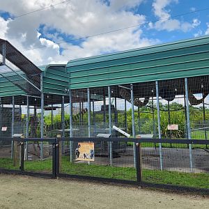 Big Cat Habitat - Monkey exhibits
