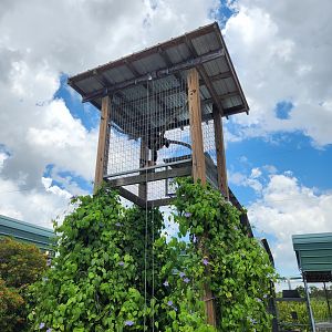 Big Cat Habitat - Monkey tower