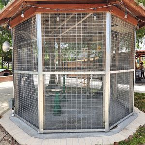 Big Cat Habitat - Sun Conure cage