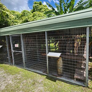 Big Cat Habitat - Lemur cages