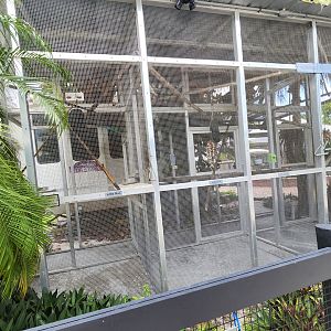 Big Cat Habitat - Marmoset "mansion"