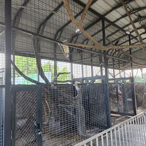 Big Cat Habitat - Parrots