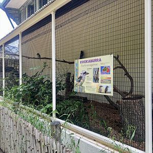 Kookaburra Exhibit