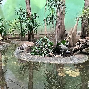 Interior of Bird House