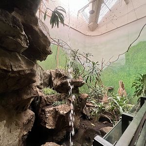 Interior of Bird House