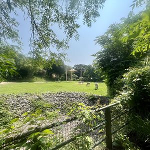 African Plains Exhibit