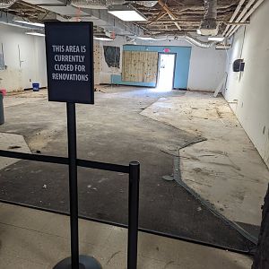 Construction on former Herpetarium