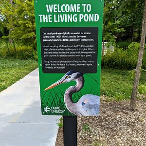 New signage by pond