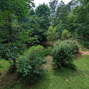 Back part of the Maned Wolf exhibit