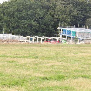 Monkey Forest Construction Work 12/08/23