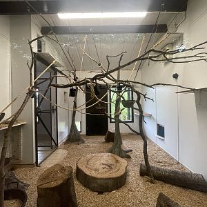 Ring-Tailed Lemur Indoor Quarters (Right Side)