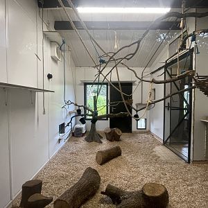 Ring-Tailed Lemur Indoor Quarters (Left Side)