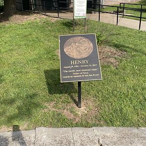 Henry Hippo Memorial Plaque
