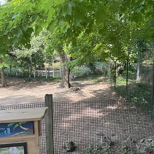 Greater Rhea Exhibit- 2023