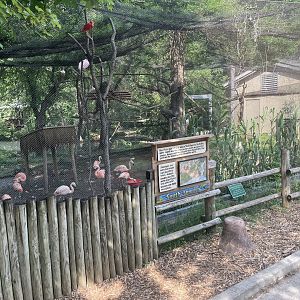 Flamingo Aviary Exterior- 2023