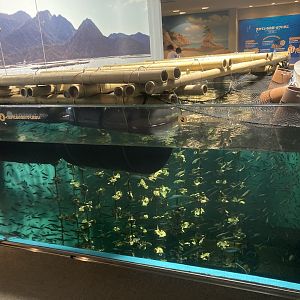 Large tank simulating oyster farm