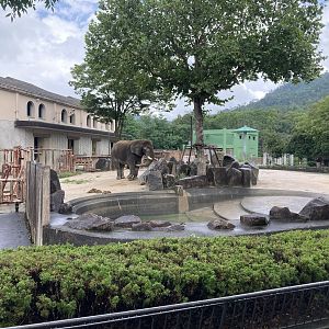 Enclosures for both African elephant species