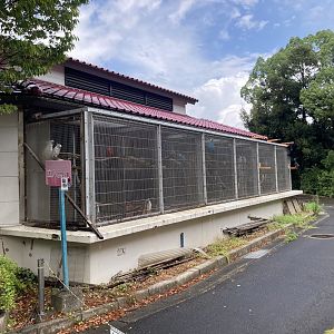Macaw off show holding