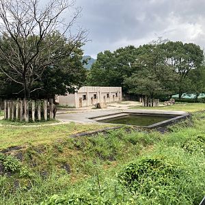 Black rhino enclosure
