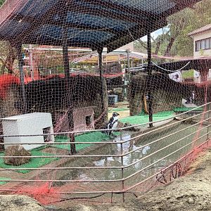 Humboldt penguin exhibit