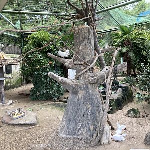 Aviary in Children’s zoo