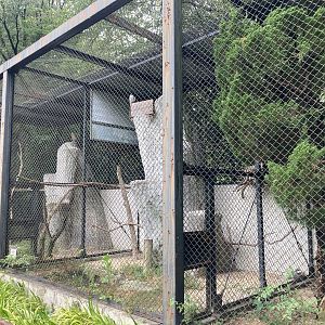 Small bird of prey aviary