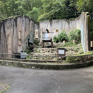 Asiatic black bear exhibit