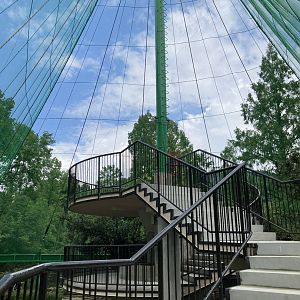 Large waterfowl aviary