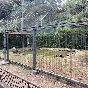 Red crowned crane aviary