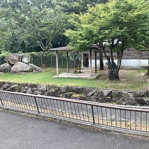 Japanese serow enclosure