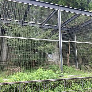 Japanese hare exhibit