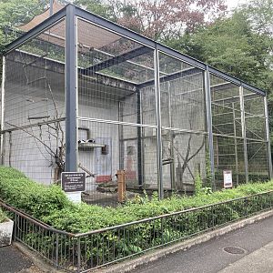 Lemur and macaque cages