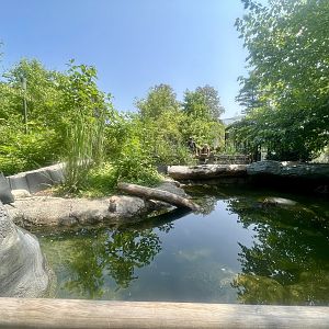 Pond Turtles Exhibit