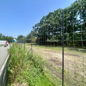African Plains Exhibit