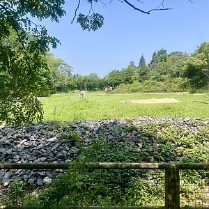 African Plains Exhibit