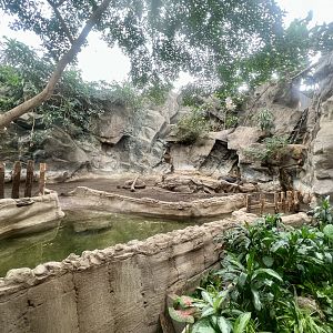 Baird’s Tapir Exhibit