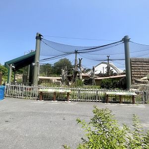 Outdoors Gorilla Exhibit