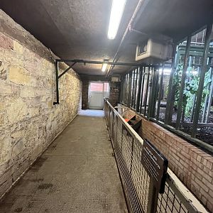 View inside upper rhino house 17.7.23