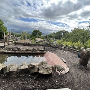 Indian rhino enclosure (wide angle) 17.7.23