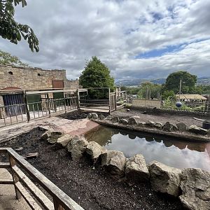 Indian rhino enclosure (wide angle) 17.7.23