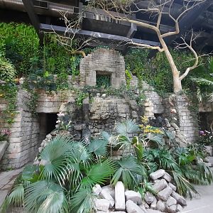 Waterfall Without Water