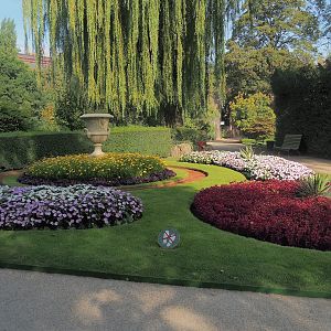 Garden area, 2022-09-04