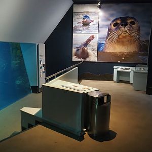 Vriesland - Harbor seal underwater viewing and education area, 2022-09-04